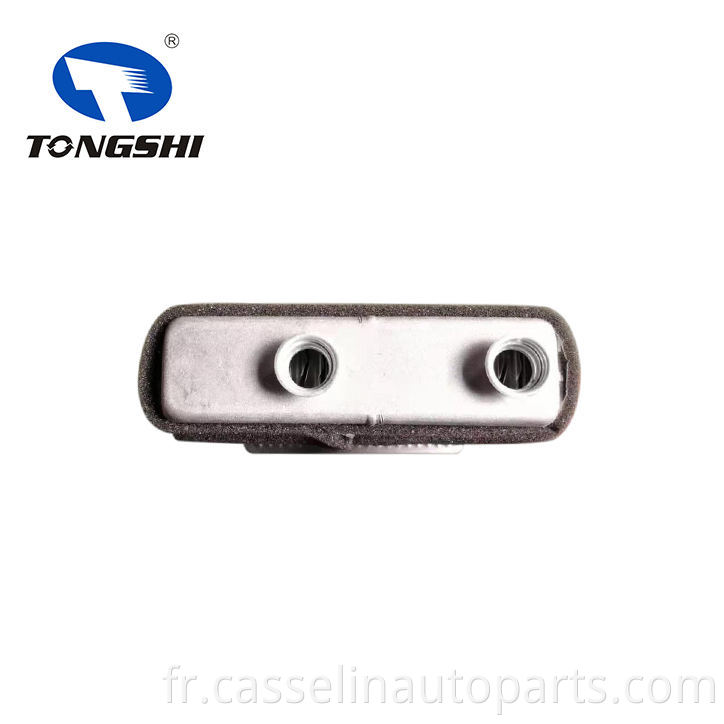 Vendre à chaud Tongshi Core de chauffe-voiture en aluminium pour Fiat Punto (188) OEM 46722928